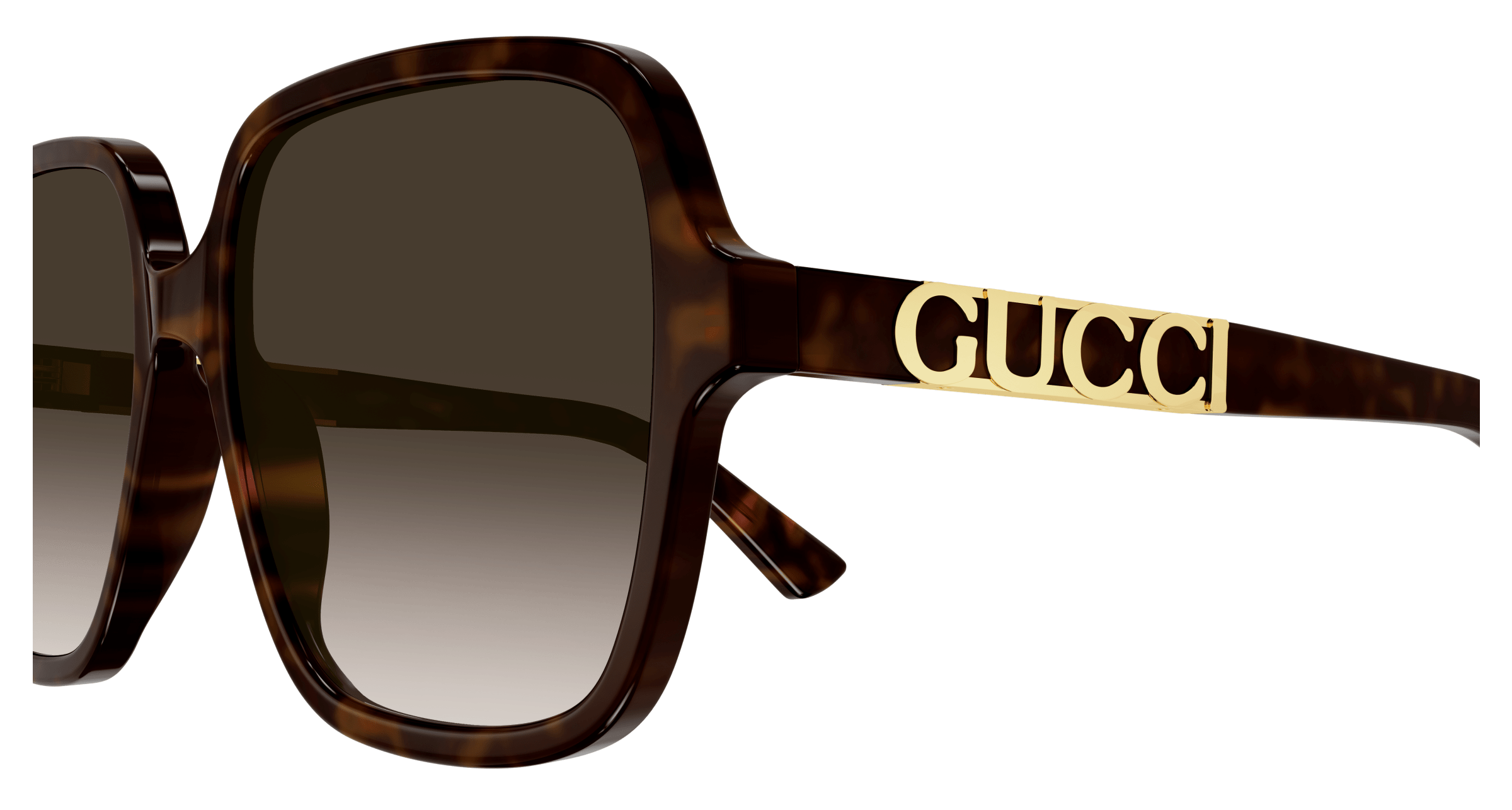 Gucci GG1189SA-003 Gucci Logo 